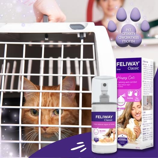【姆比】Feliway 費利威 貓咪費洛蒙插電組 費洛蒙噴劑 補充瓶 多貓款 經典款 多貓家庭專用款 舒緩情緒 舒緩緊張-細節圖2