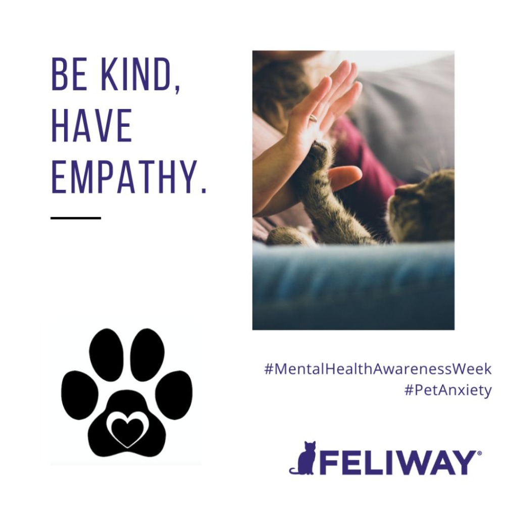 【姆比】Feliway 費利威 貓咪費洛蒙插電組 費洛蒙噴劑 補充瓶 多貓款 經典款 多貓家庭專用款 舒緩情緒 舒緩緊張-細節圖4