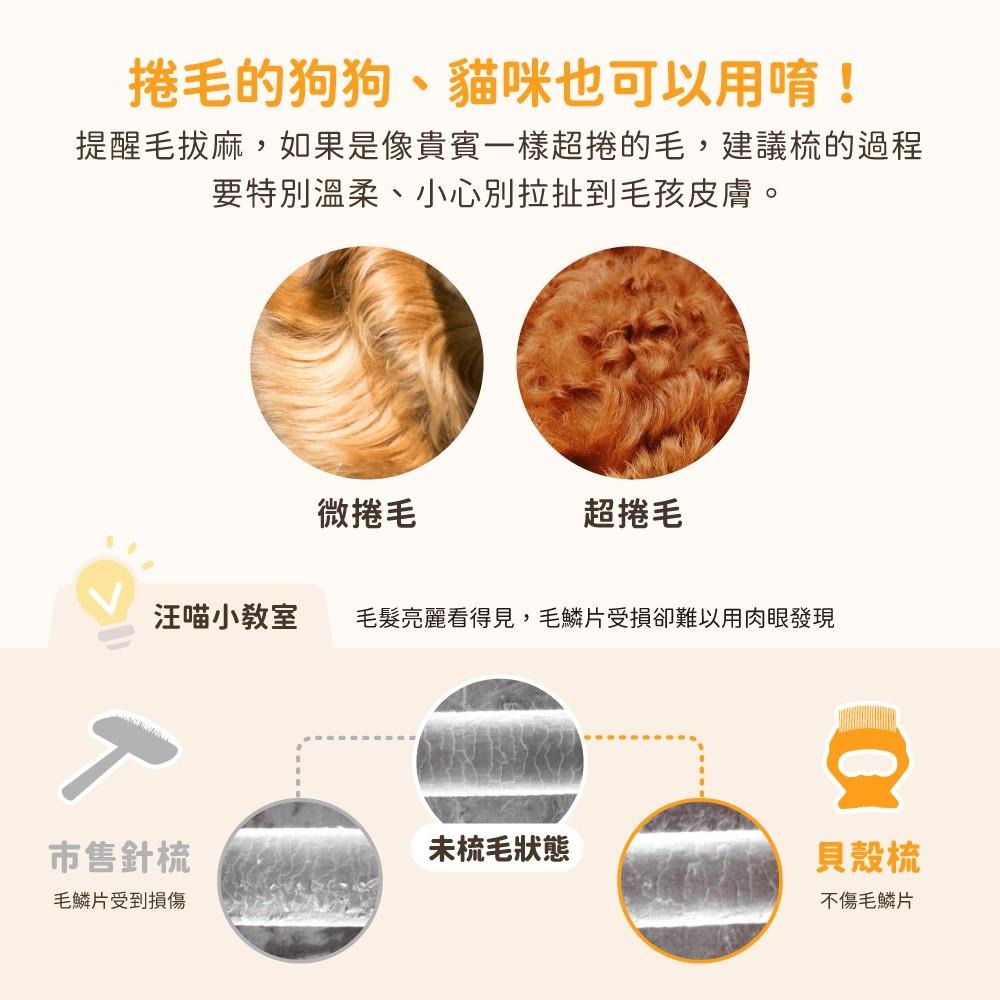 【姆比】日本🇯🇵 Philocomb 正品❗ 寵物貝殼梳 寵物梳子 貓咪梳子 狗狗梳子 貝殼梳子 寵物梳毛 寵物理毛-細節圖4