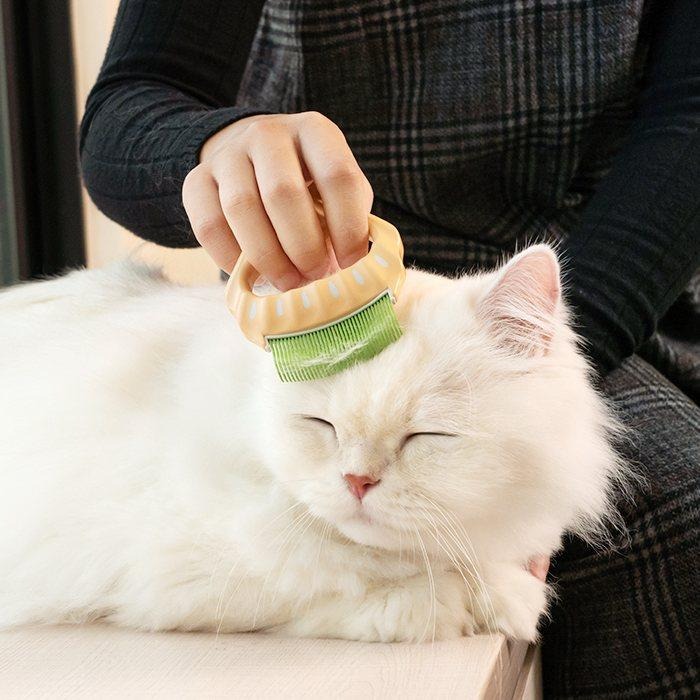 【姆比】日本🇯🇵 Philocomb 正品❗ 寵物貝殼梳 寵物梳子 貓咪梳子 狗狗梳子 貝殼梳子 寵物梳毛 寵物理毛-細節圖7