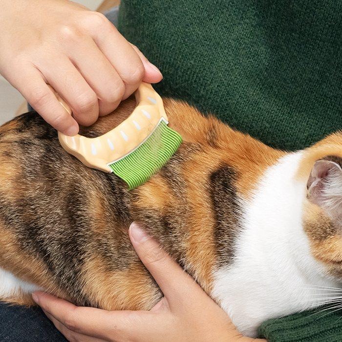 【姆比】日本🇯🇵 Philocomb 正品❗ 寵物貝殼梳 寵物梳子 貓咪梳子 狗狗梳子 貝殼梳子 寵物梳毛 寵物理毛-細節圖8