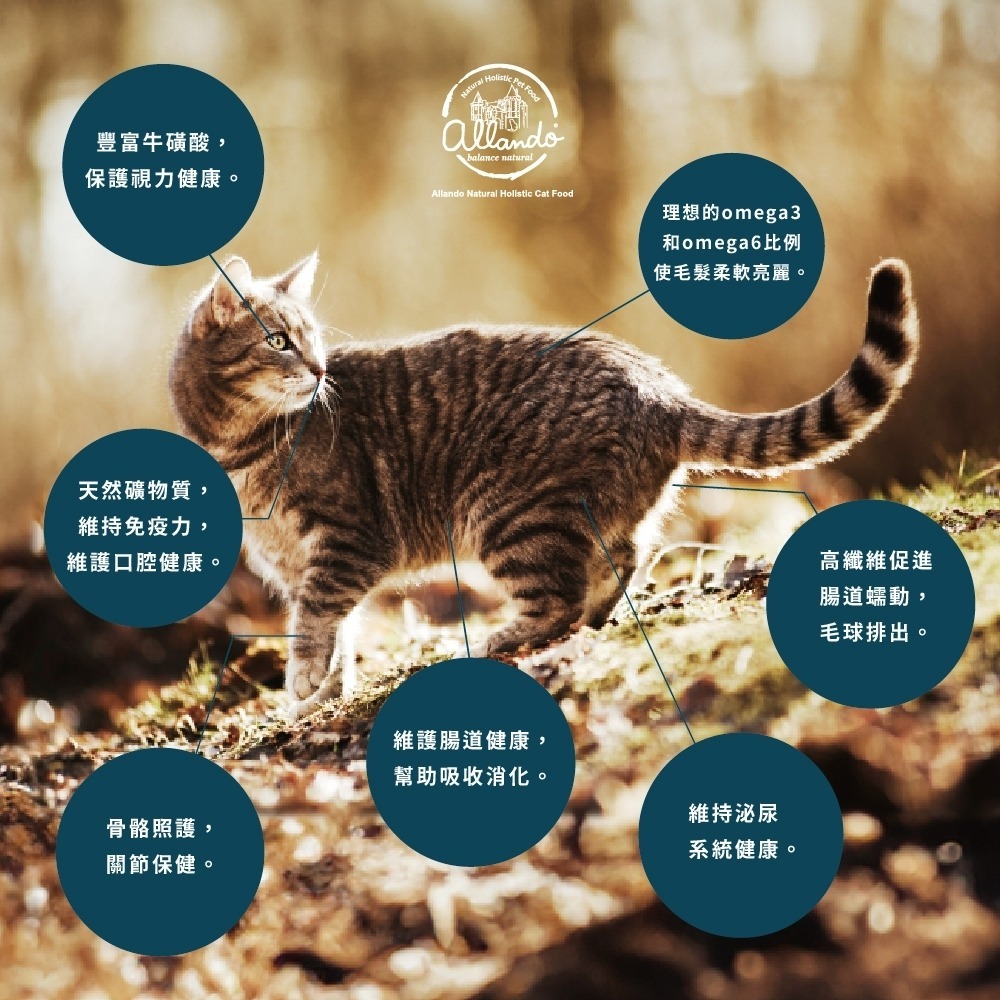 【姆比】奧藍多 Allando 天然無穀貓飼料 無穀貓飼料 貓飼料 天然貓糧 貓咪飼料-細節圖2