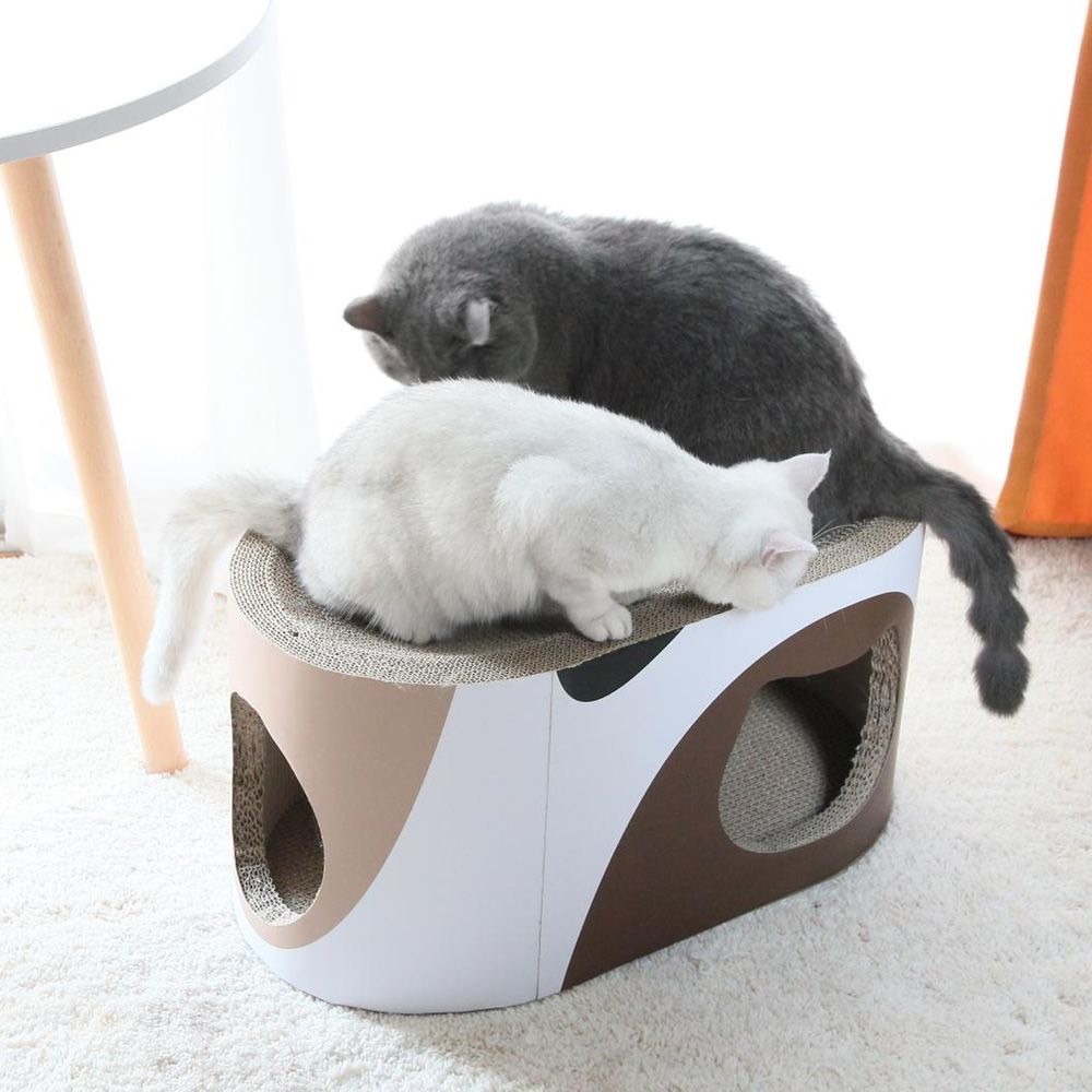 【姆比】免運❗ MSBC 主子優選 貓空隧道貓抓板 兩款 貓抓隧道 貓抓屋 貓抓板 瓦楞紙貓抓板 貓抓玩具 貓玩具-細節圖5