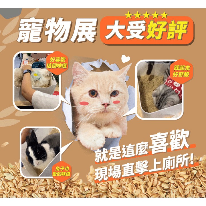 【姆比】澳洲 LOGIN 洛格強效除臭稻殼貓砂 稻殼貓沙 洛格貓砂 豆腐砂 貓砂 除臭貓砂 豆腐貓砂-細節圖3