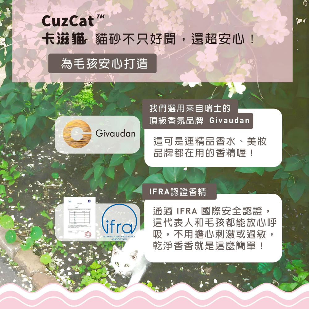 【姆比】卡滋貓 CuzCats 豆腐砂 沸石除臭抗敏配方 極速凝結豆腐砂 豆腐貓砂 貓砂-細節圖9