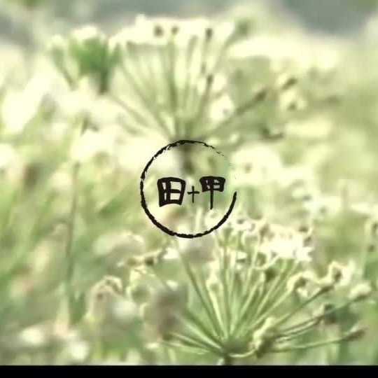 田十甲高倍濃縮韭菜籽_男女通用平日保養-細節圖6