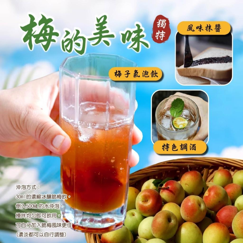 晨一 濃縮冰釀脆梅飲 200ml 送小包脆梅50g 脆梅果露 青梅釀 脆梅 釀梅 脆梅汁 酸梅汁 梅汁 蜜餞果露-細節圖3