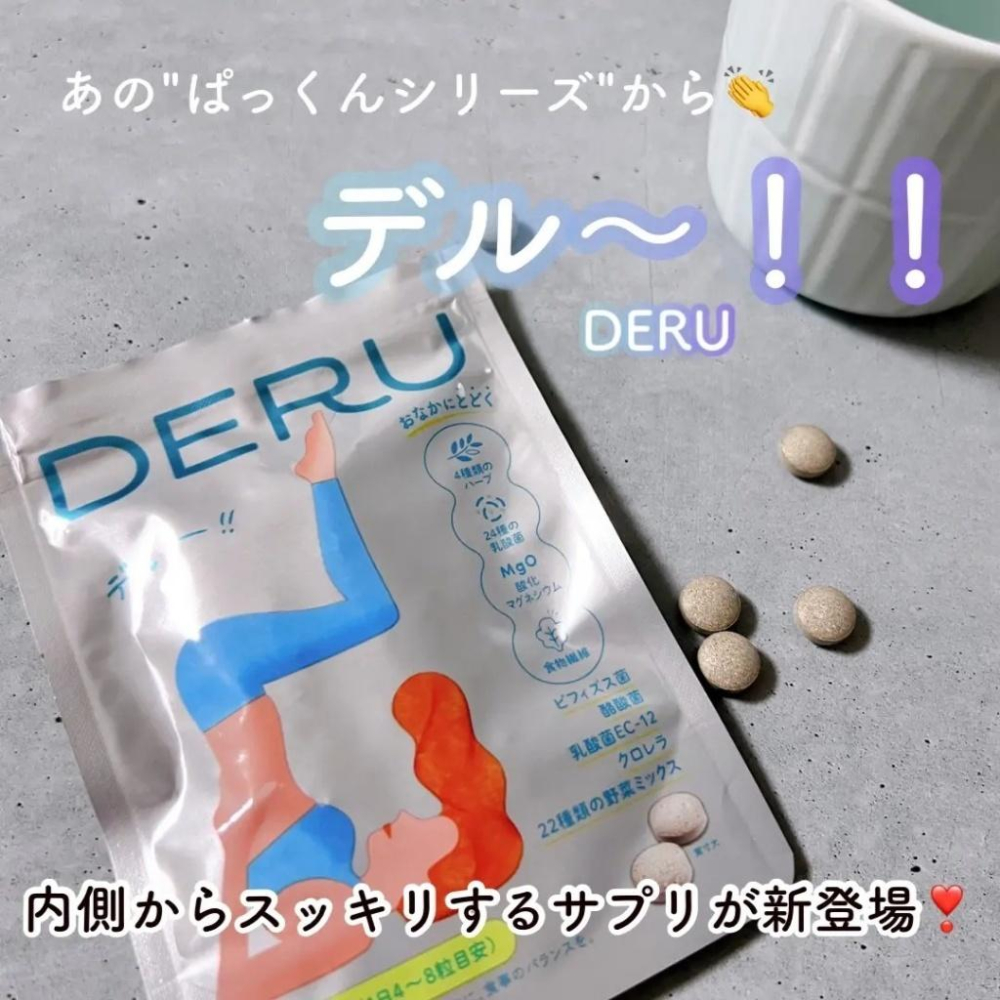 現貨 日本 絲蓓緹 SVELTY DERU 草本 益生菌 植物酵素 40粒/10天份-細節圖2