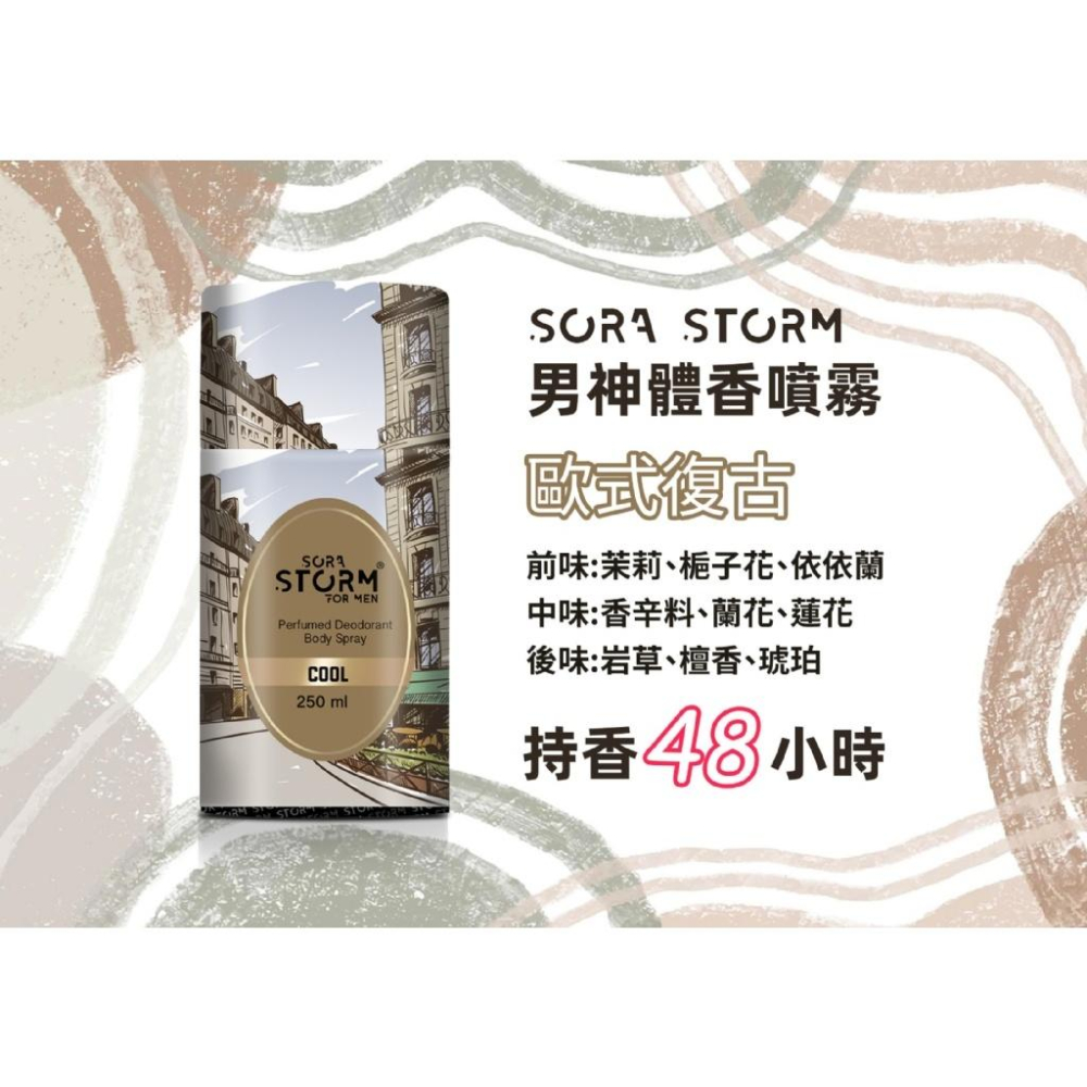 歐洲 LADY STORM 男性 體香噴霧 250ml 效期2026 風暴 噴霧 香氛 體香劑 男士 除臭 香水-細節圖2