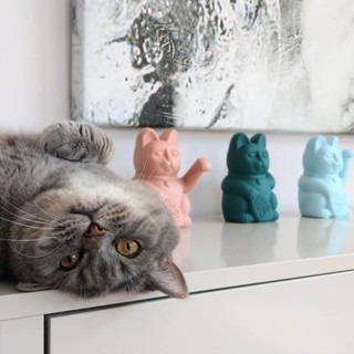 🌟德國品牌🌟DONKEY 祈福招財貓 擺飾 Lucky Cats 禮物 自動招手 招財貓裝飾品 招財貓 發財貓-細節圖6