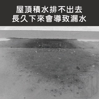 🔥加大尺寸🔥排水孔防堵罩 超速排水罩 不鏽鋼排水孔防堵罩 排水孔濾網 防淤泥 防蟲 排水順暢 防淹水 防堵罩-細節圖5