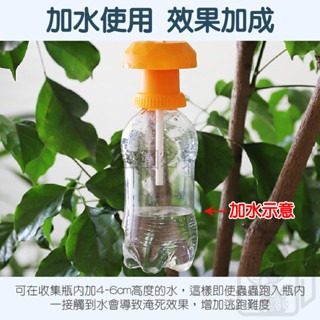 🔥果蠅捕捉🔥果實蠅引誘劑 果蠅誘捕劑 瓜果蠅 果蠅 果實蠅  瓜實蠅誘餌劑 果園果蠅捕捉器 引誘劑 誘捕劑 誘捕器-細節圖3