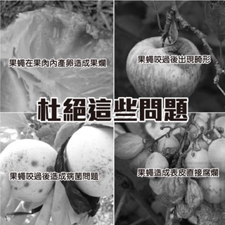 🔥果蠅捕捉🔥果實蠅引誘劑 果蠅誘捕劑 瓜果蠅 果蠅 果實蠅  瓜實蠅誘餌劑 果園果蠅捕捉器 引誘劑 誘捕劑 誘捕器-細節圖6