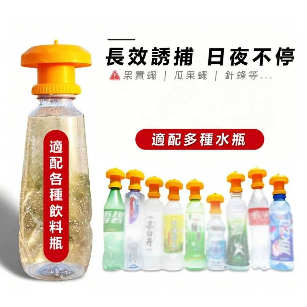 💥果蠅捕捉💥果實蠅引誘劑 果蠅誘捕劑 瓜果蠅 果蠅 果實蠅  瓜實蠅誘餌劑 果園果蠅捕捉器 引誘劑 誘捕劑 誘捕器-細節圖4