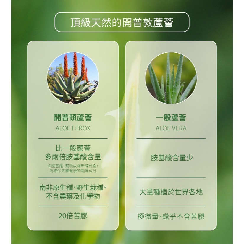 aloe unique 優尼客 蘆薈凝膠 75ml 保濕 曬後修復 蘆薈膠 保濕 淡疤-細節圖2