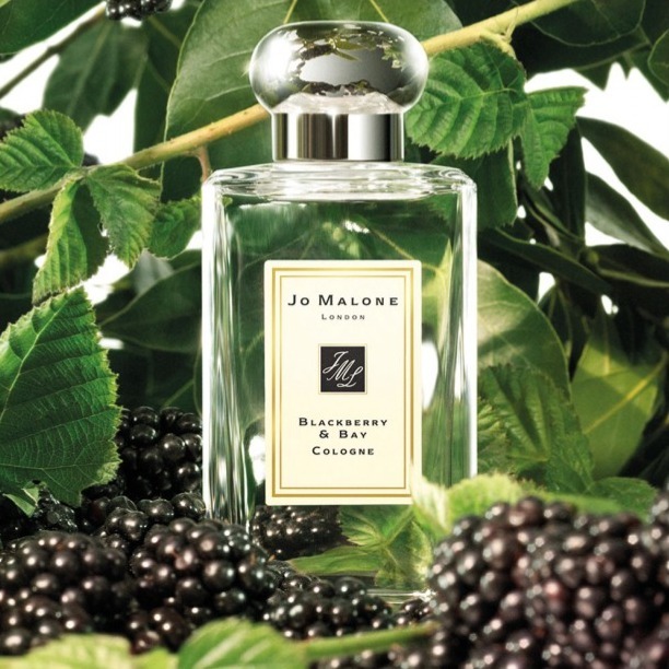 JO MALONE 黑莓子與月桂葉 Blackberry & Bay 香水 女香 100ml-細節圖3