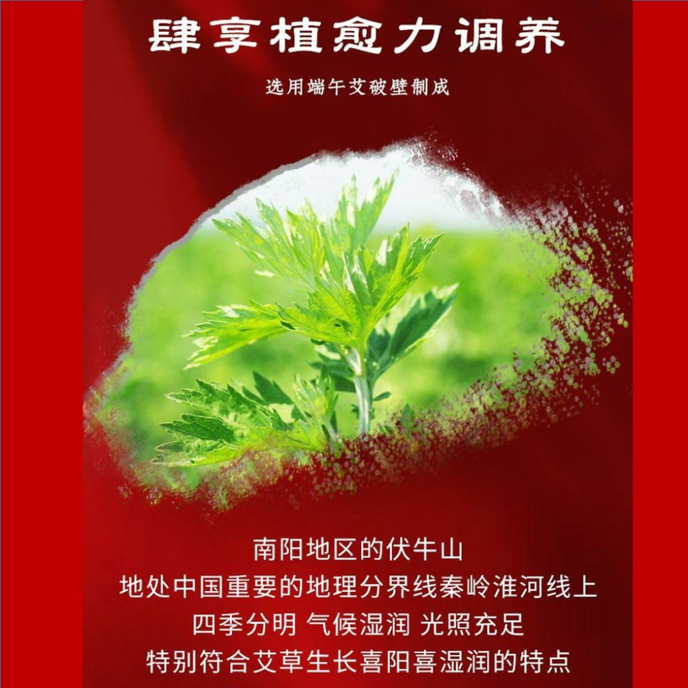 【台灣出貨 新品上市】 暖宮貼 艾草貼 艾灸貼 溫灸貼 艾草暖貼 熱灸貼 艾灸貼片 暖暖貼-細節圖2