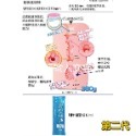 日本 R20 夾吸自慰器 現貨-規格圖2