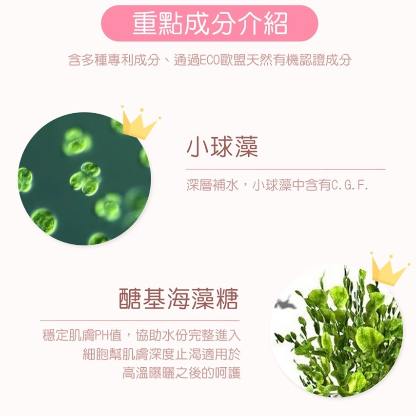 Peachup | u cute 小球藻極致保濕 臀膜 台灣製-細節圖3