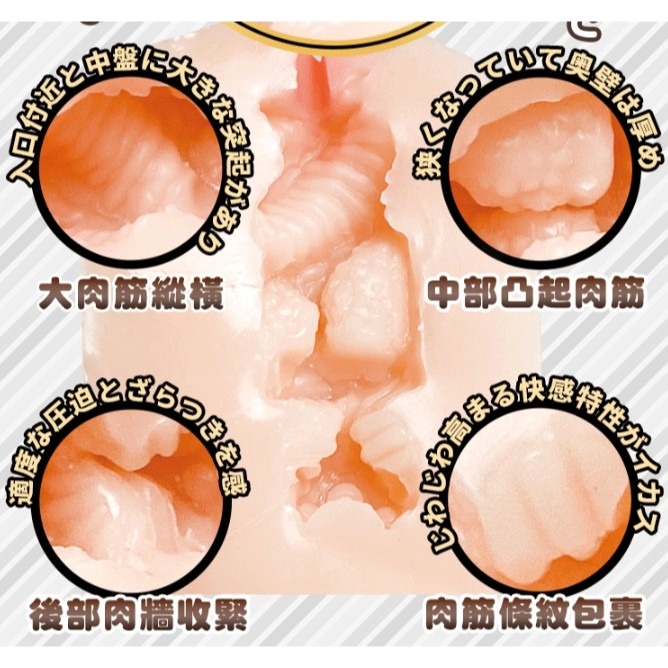 EGG 安齋拉拉 女優情趣蛋-細節圖6