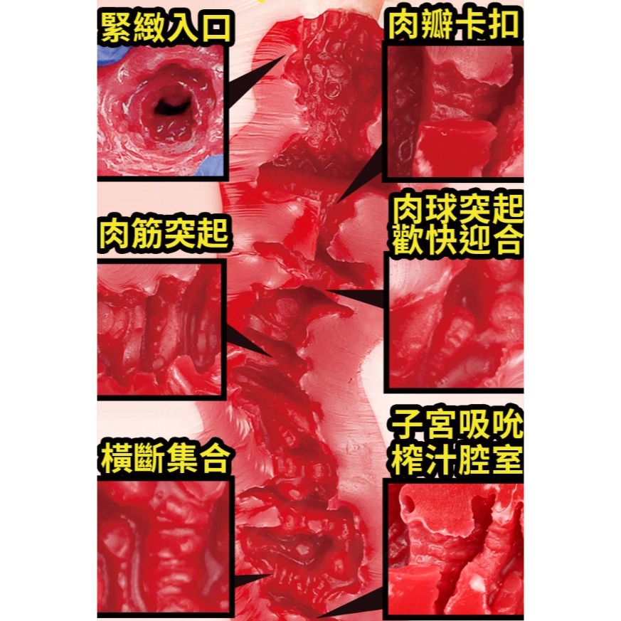 極肌降臨 安齋拉拉 女神蜜穴 自慰器-細節圖3