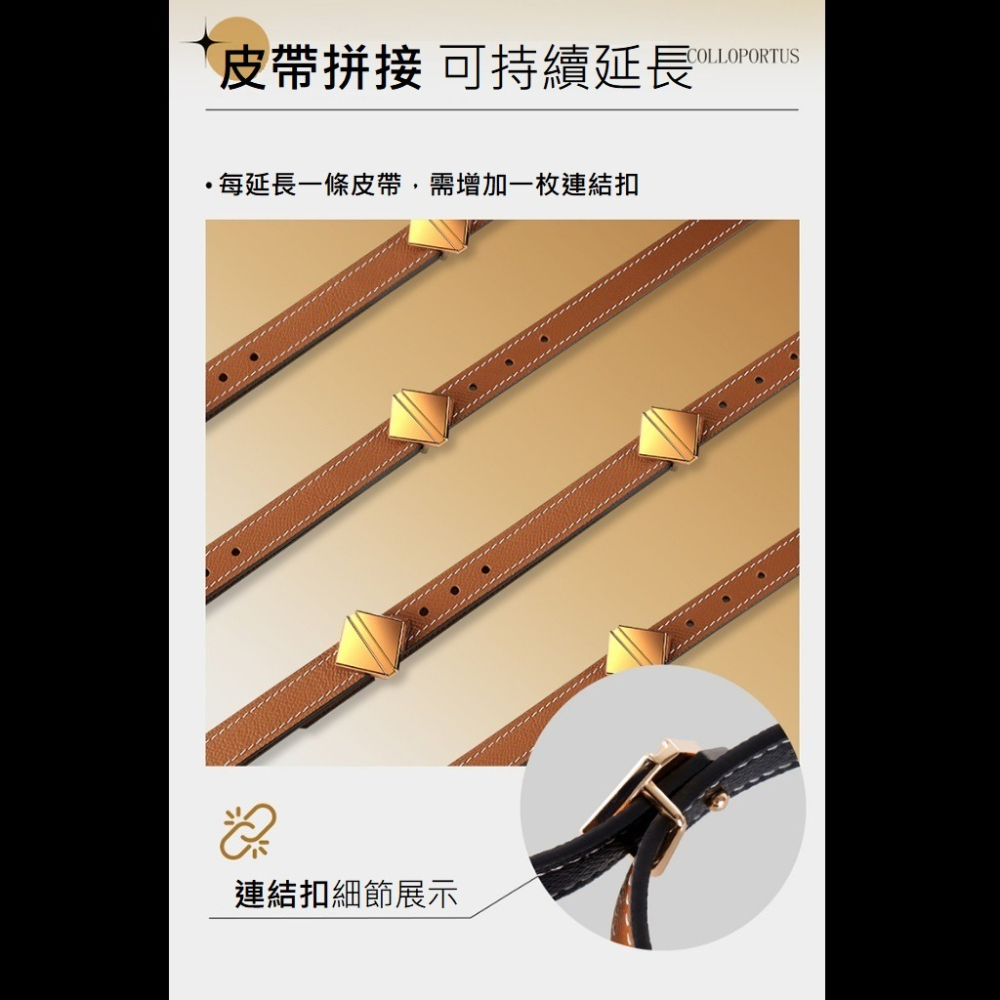 LOCKINK 索跡 BDSM 情趣 項圈套組-細節圖2
