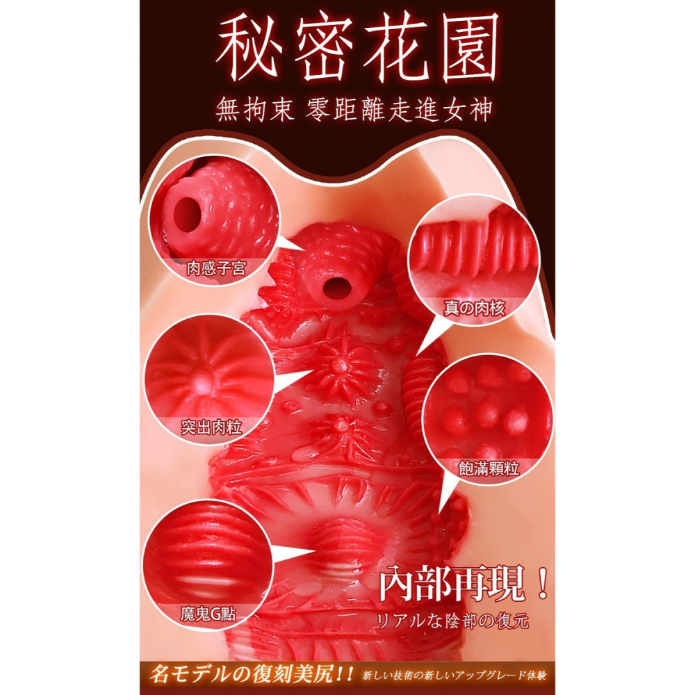 名模 の復刻 肉感夾吸 自慰器-小野美昔-細節圖3