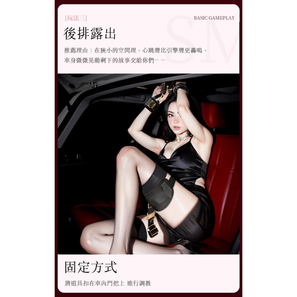 BDSM 車內調教 套裝-細節圖5