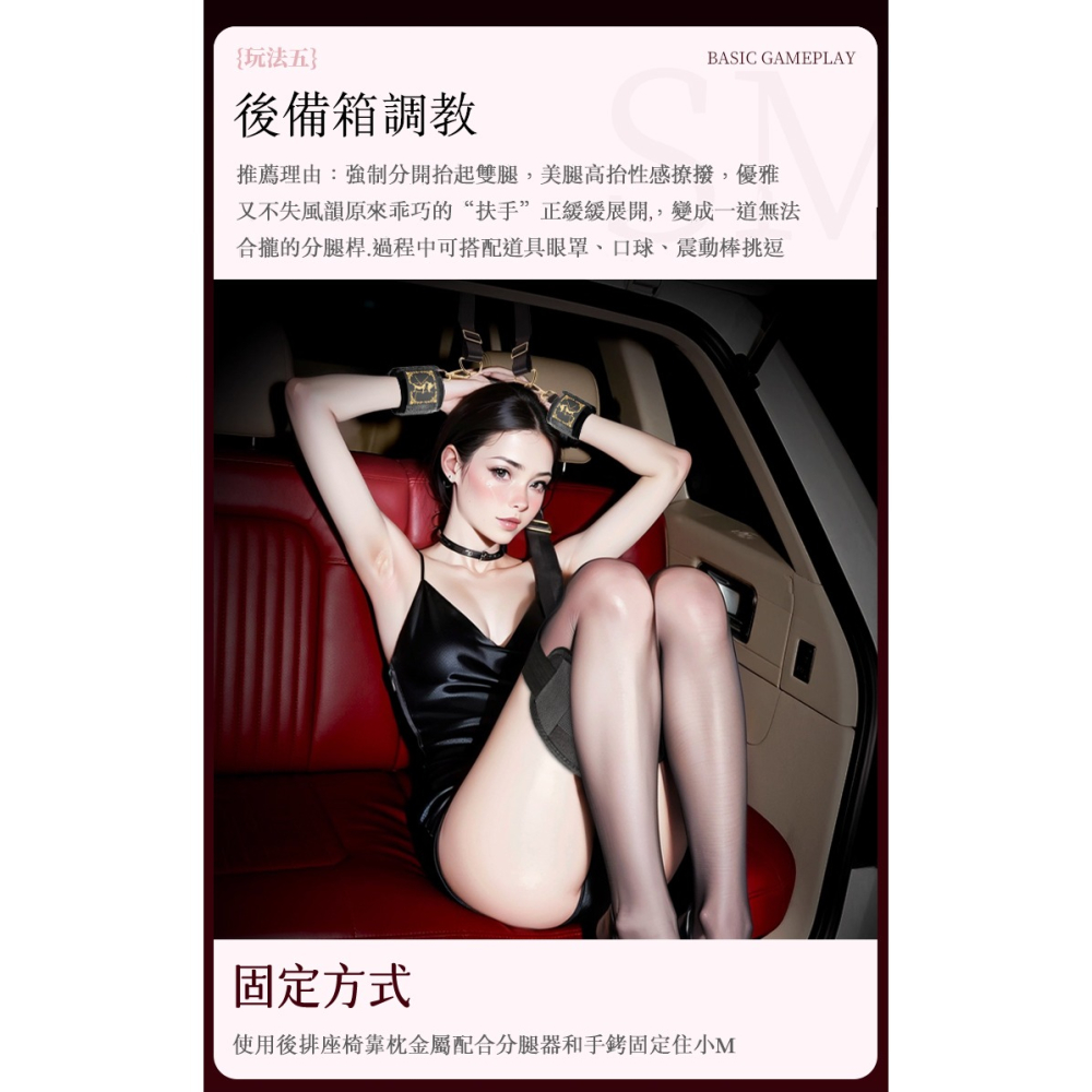 BDSM 車內調教 套裝-細節圖7