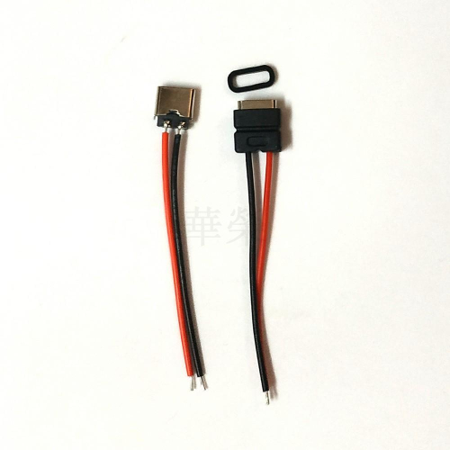 TYPE-C 2P防水母座帶引線 焊線式USB帶固定螺絲孔雙面充電插座
