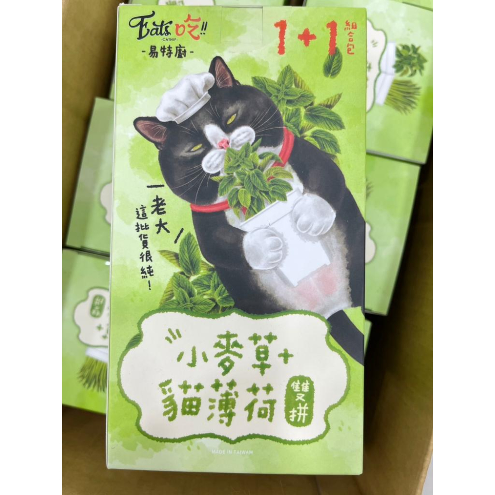 Eat＇s 易特廚 小麥草+貓薄荷雙拼組 日本製 DIY 貓草 貓咪 紓壓 寵物 貓咪 貓薄荷 小麥草 組合包-細節圖4