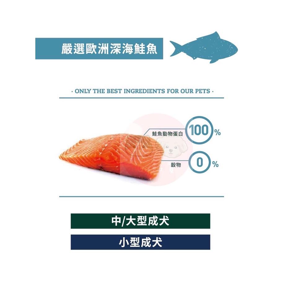 BRAVARY焙菲力 健康無穀食糧(無穀鮭魚) 狗狗飼料 小型成犬 12KG (下單請私訊)-細節圖2