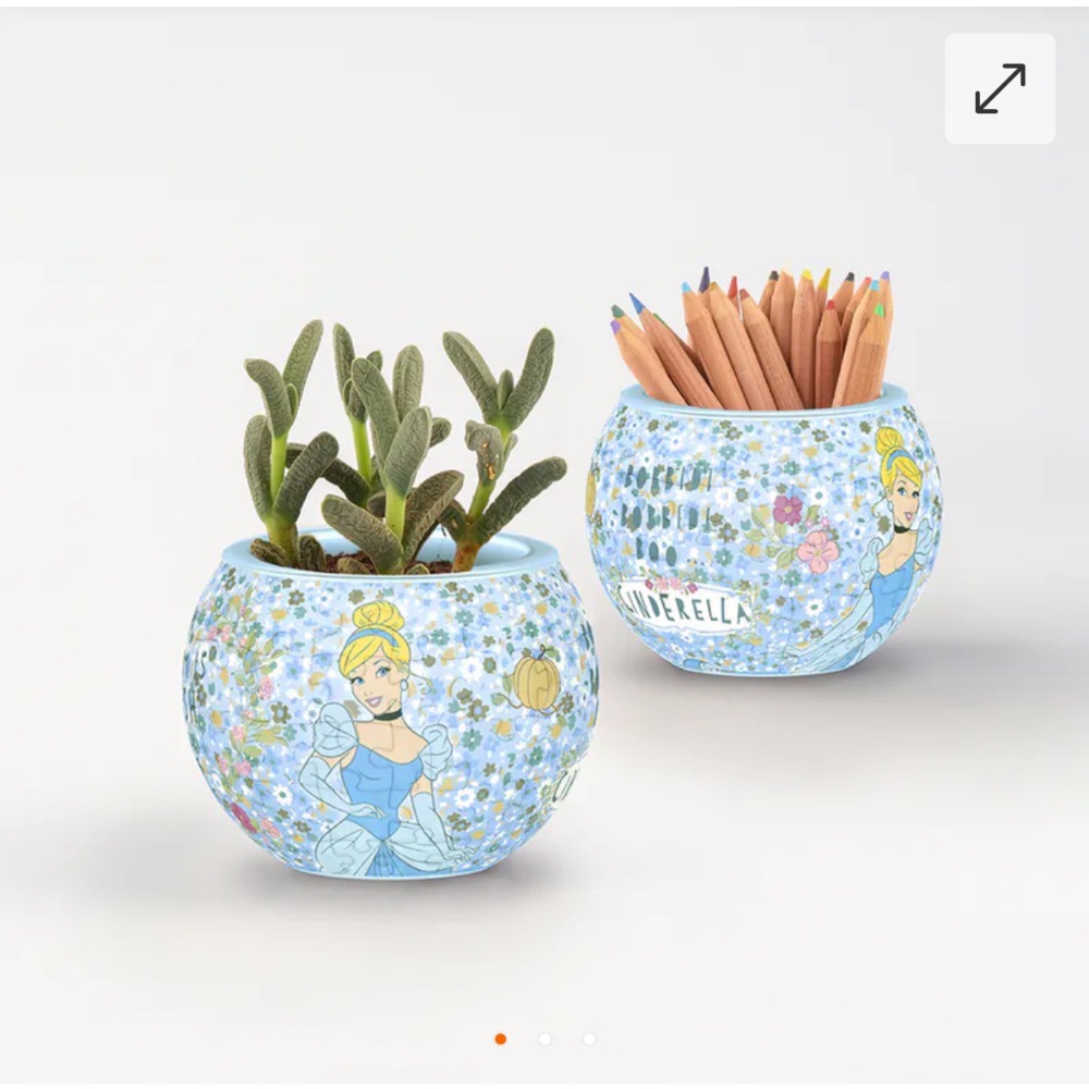 《代購》Pintoo 盆栽80片 - 公主系列-細節圖7
