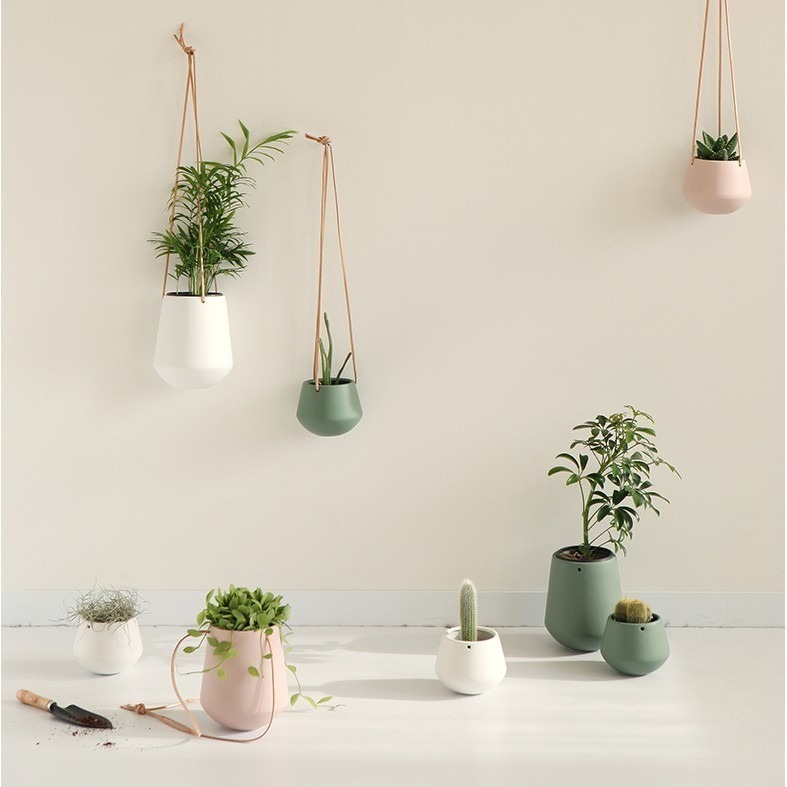 [現貨/售完不補] 🌿 韓國 Dailylike DL06 垂掛式盆栽-細節圖2