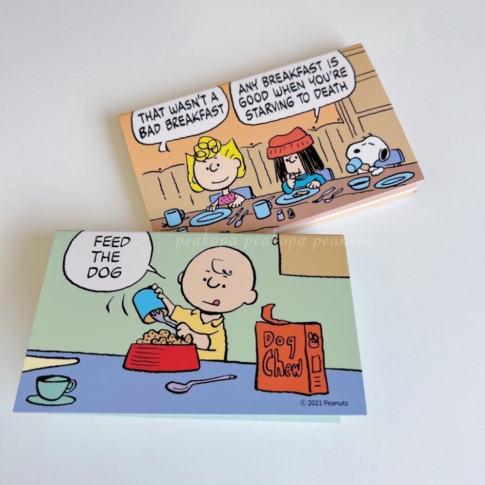 [現貨] ⛱ XP06 Snoopy 迷你便條紙 史奴比 查理布朗 便條紙 Peanuts  筆記 隨身筆記 小筆記-細節圖7