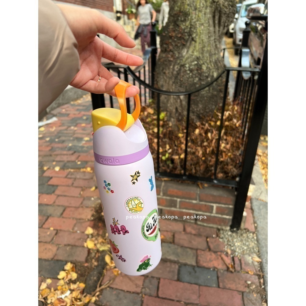 [美國選物-現貨] 🐿️ Owala FreeSip 不鏽鋼水瓶  Urban Outfitters-細節圖4