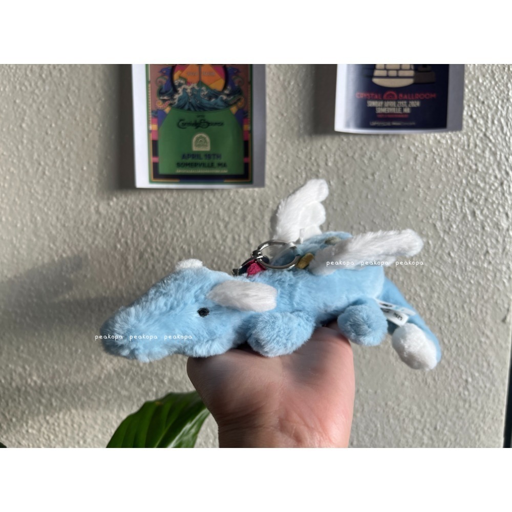 吊飾（天空龍）🐲 現貨