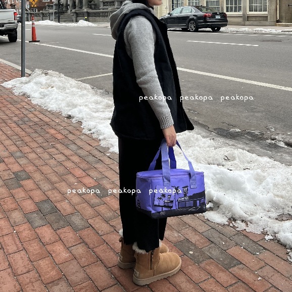 ［美國選物-現貨］🇺🇸 ATJ04 Trader Joe＇s 保冰/溫袋 便當袋 保冰袋 保溫袋 露營 袋子 購物袋-細節圖2