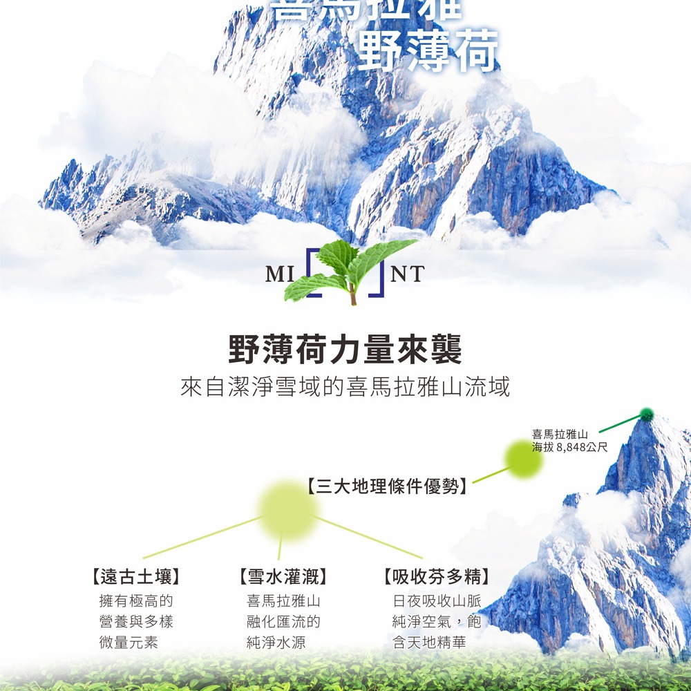 【現貨】洗髮粉 MEKELONG 金美克能 洗髮粉(3g) 10入-細節圖3