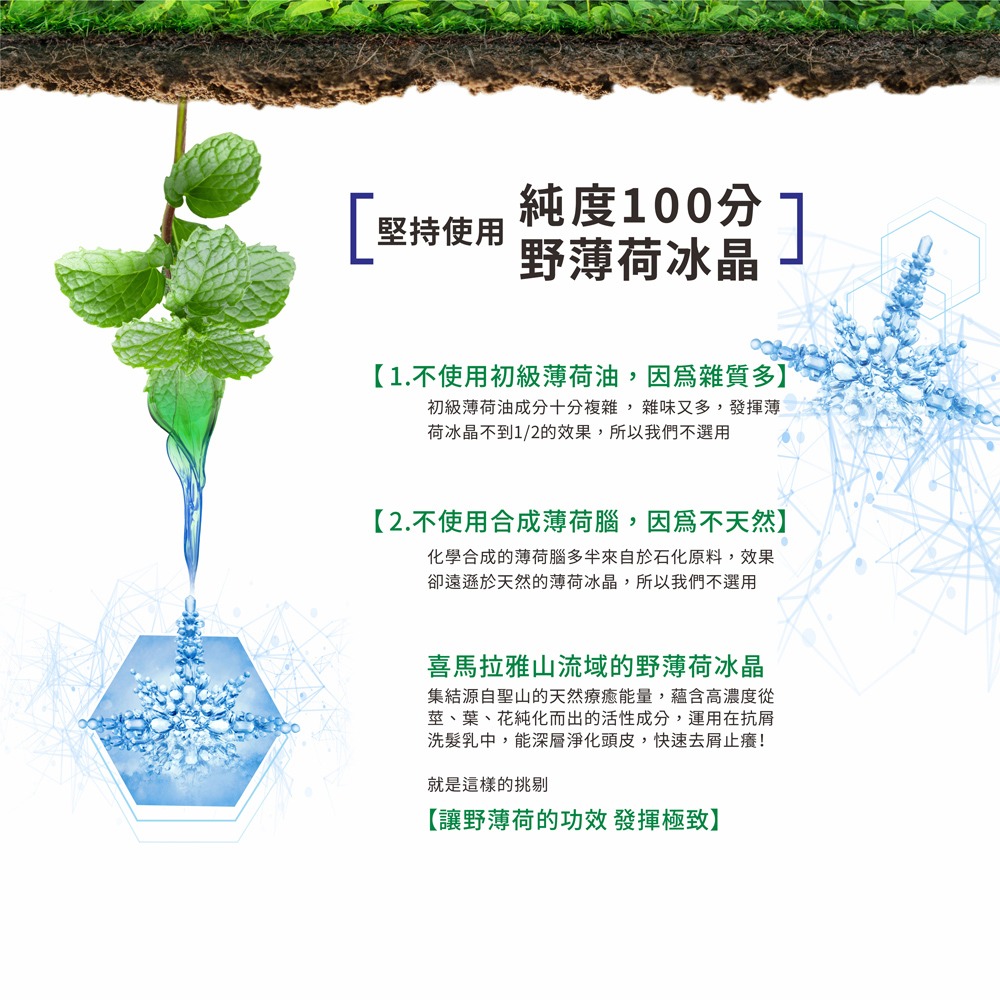 【現貨】洗髮粉 MEKELONG 金美克能 洗髮粉(3g) 10入-細節圖4