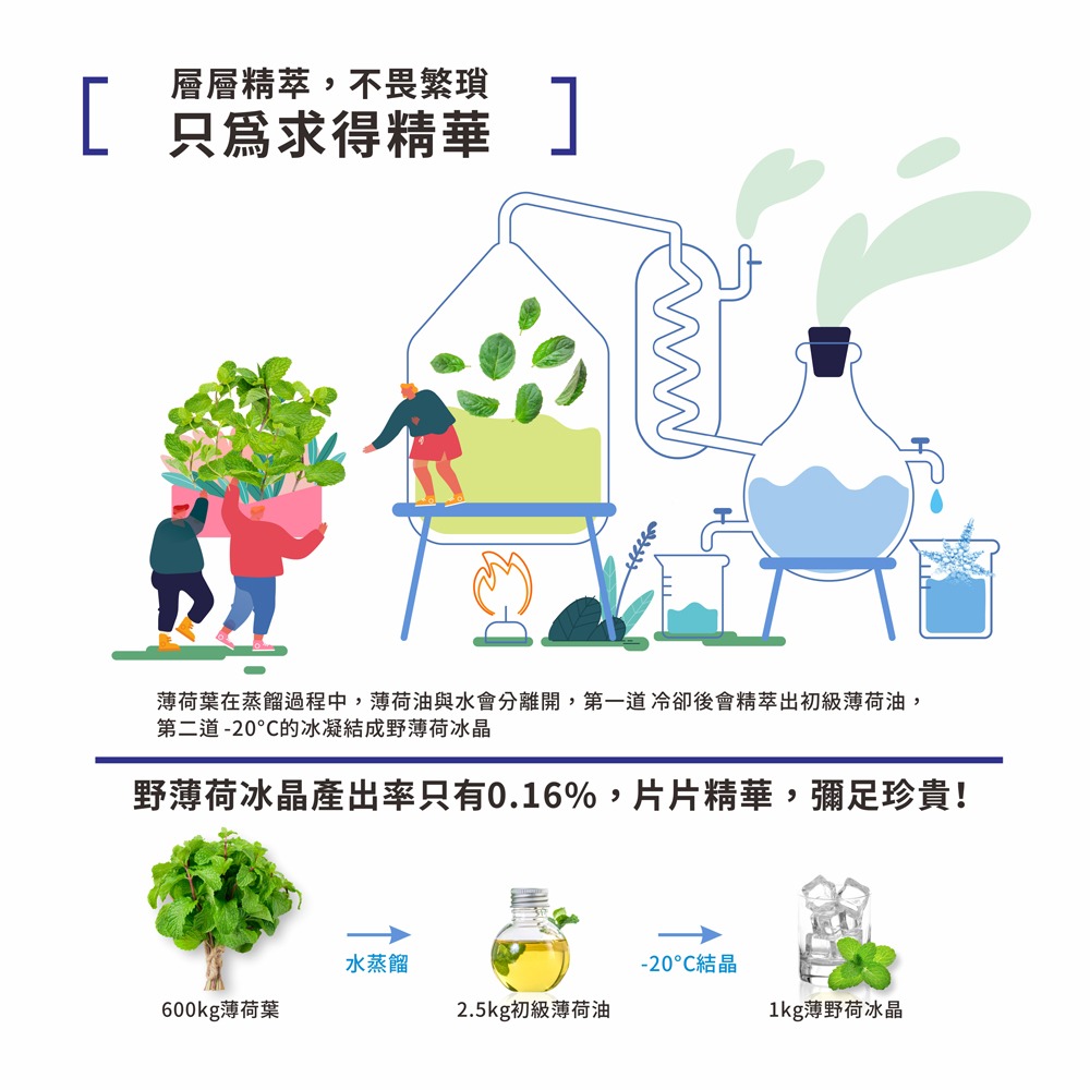 【現貨】洗髮粉 MEKELONG 金美克能 洗髮粉(3g) 10入-細節圖5