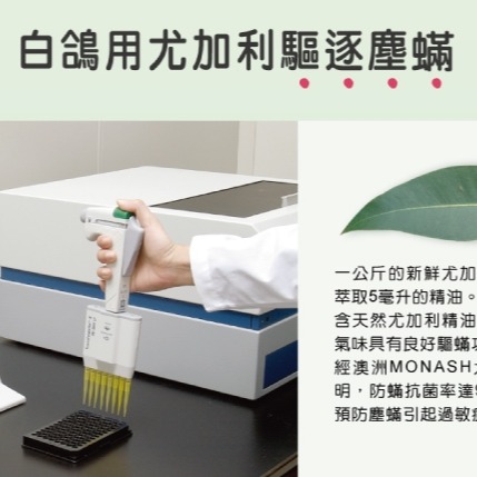 【現貨】白鴿洗衣精 防霉香蜂草／防蹣尤加利／防蹣小蒼蘭／抗菌防蹣-細節圖5