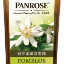 【現貨】PANROSE 潘柔洗髮精 750ml 薑翠控油 柚花柔順 辣木豐盈 摩洛哥強韌-規格圖7