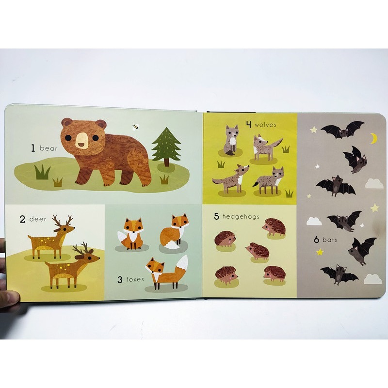 精裝英文啟蒙繪本🍀浮凸立體設計+顏色+形狀+數數+海洋動物+找找看🍀 海洋/農場/森林/野生動物-細節圖2