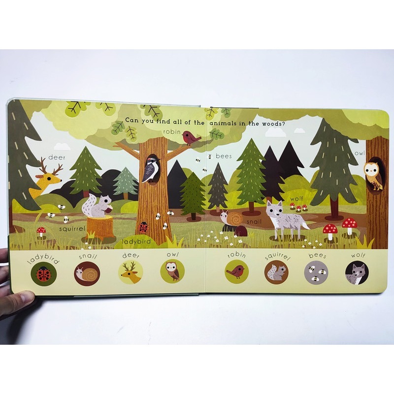 精裝英文啟蒙繪本🍀浮凸立體設計+顏色+形狀+數數+海洋動物+找找看🍀 海洋/農場/森林/野生動物-細節圖3