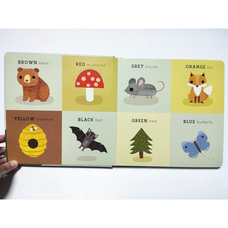 精裝英文啟蒙繪本🍀浮凸立體設計+顏色+形狀+數數+海洋動物+找找看🍀 海洋/農場/森林/野生動物-細節圖4