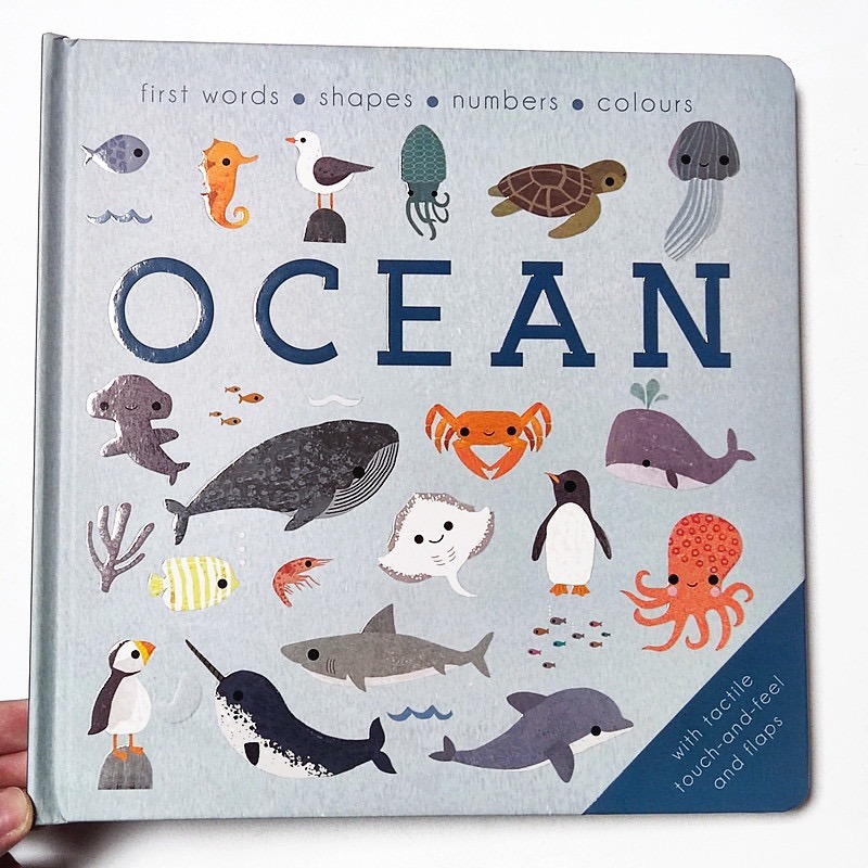 精裝英文啟蒙繪本🍀浮凸立體設計+顏色+形狀+數數+海洋動物+找找看🍀 海洋/農場/森林/野生動物-細節圖7