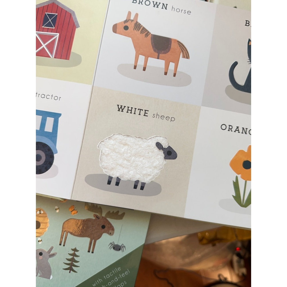精裝英文啟蒙繪本🍀浮凸立體設計+顏色+形狀+數數+海洋動物+找找看🍀 海洋/農場/森林/野生動物-細節圖10