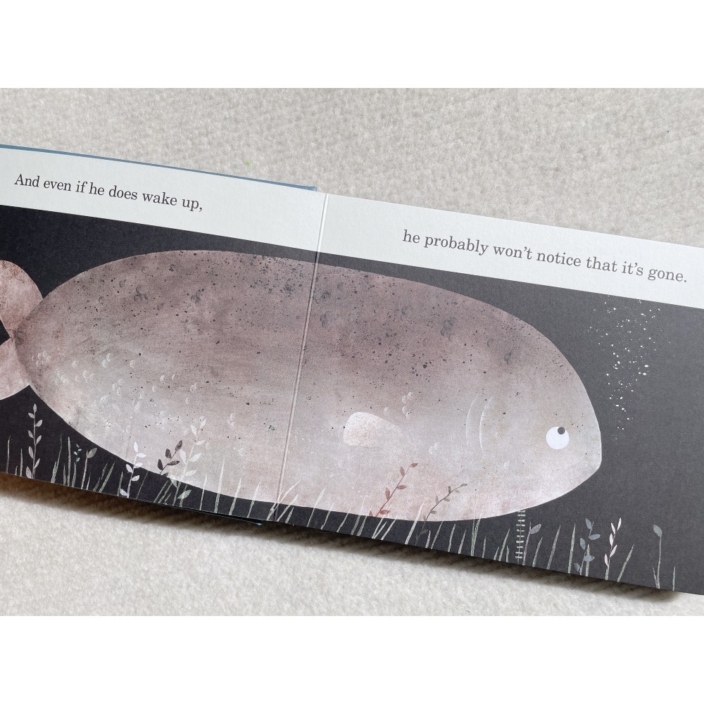 英文繪本《This Is Not My Hat》這不是我的帽子 Jon Klassen 凱迪克金獎 硬頁書-細節圖2