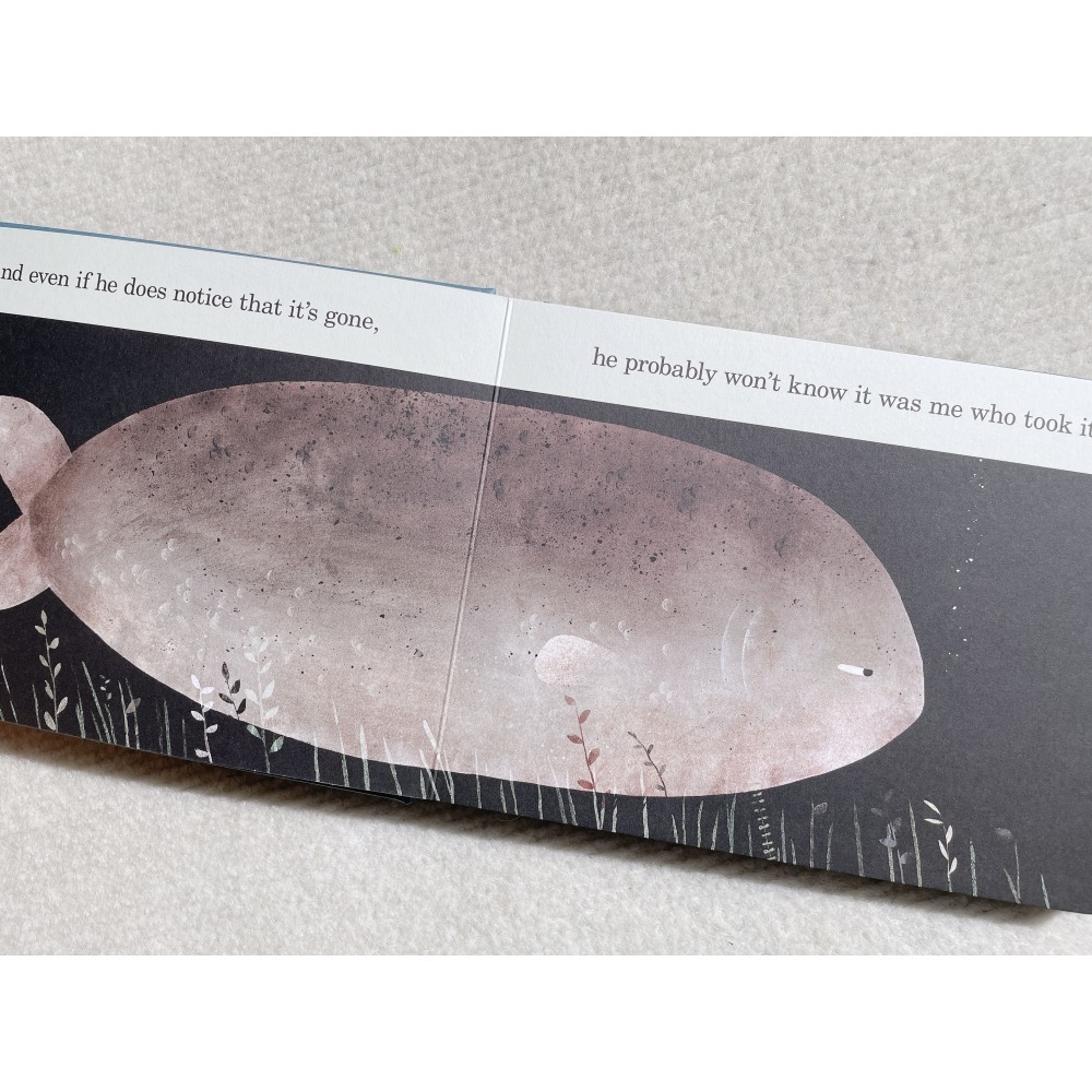 英文繪本《This Is Not My Hat》這不是我的帽子 Jon Klassen 凱迪克金獎 硬頁書-細節圖3